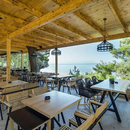 Holiday In With A Sea View